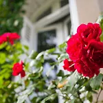 La Maison Jules Bed and breakfast