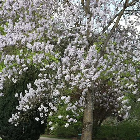 Bed & Breakfast La Maison Jules 4*