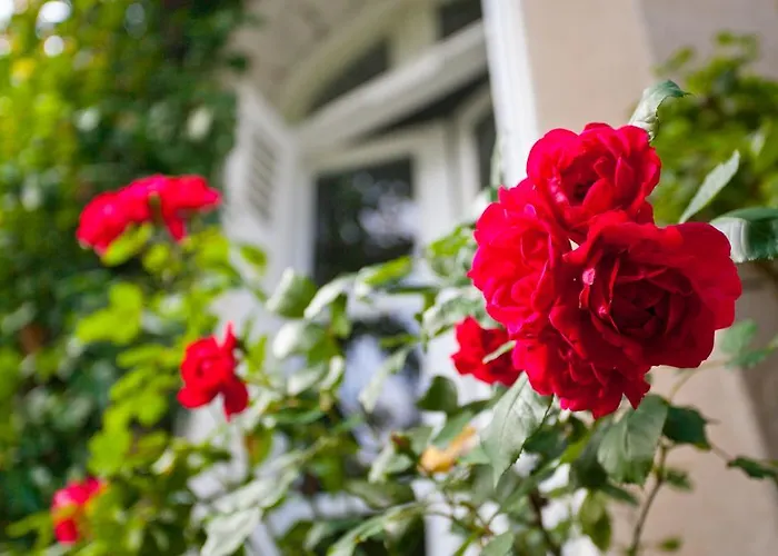 La Maison Jules Bed & Breakfast