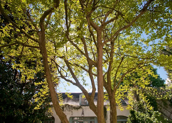 Bed & Breakfast La Maison Jules Tours