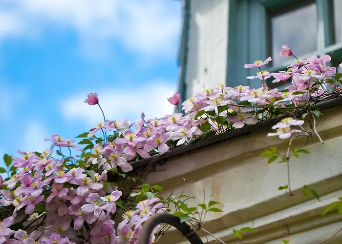 La Maison Jules Bed & Breakfast